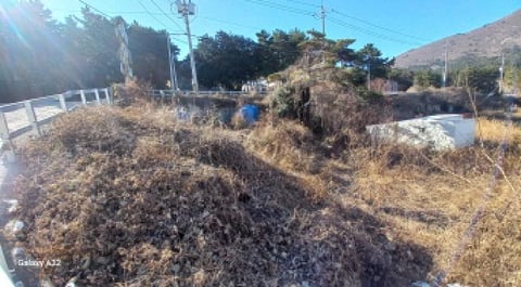 물건 사진 1