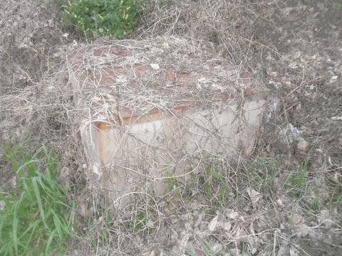 물건 사진 8