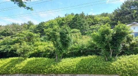 물건 사진 15