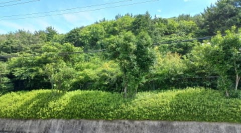 물건 사진 16