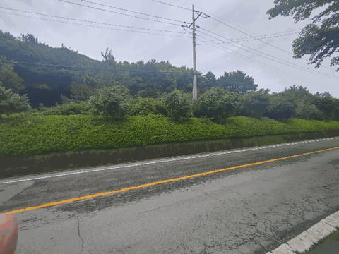 물건 사진 19