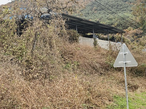 물건 사진 157