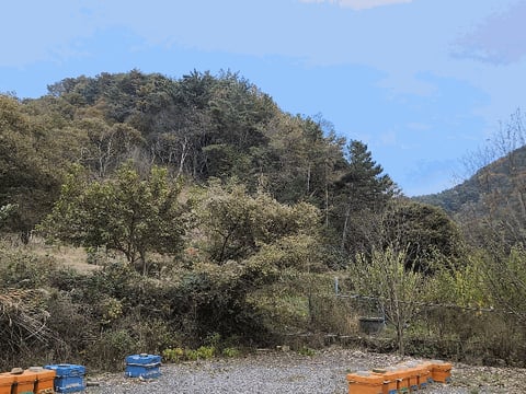 물건 사진 160