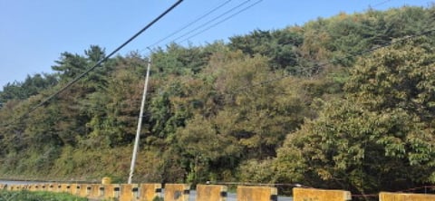 물건 사진 115