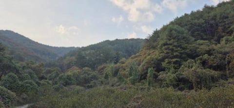 물건 사진 124