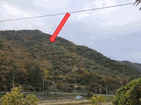 물건 사진 158