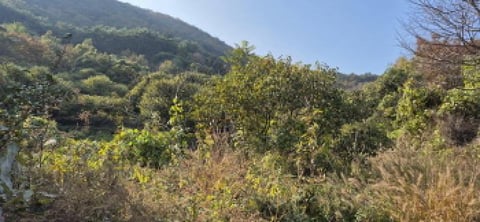 물건 사진 19