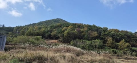 물건 사진 5