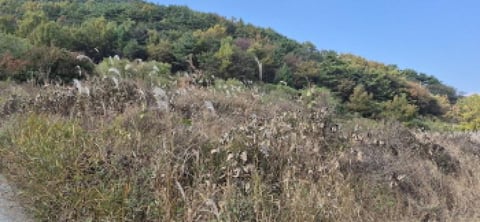 물건 사진 6