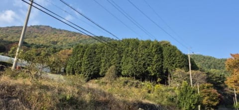 물건 사진 103