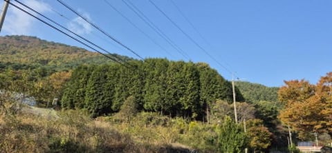 물건 사진 105
