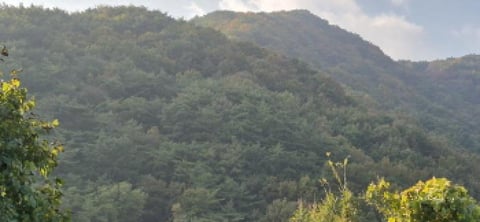 물건 사진 113