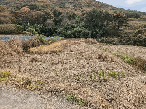 물건 사진 165
