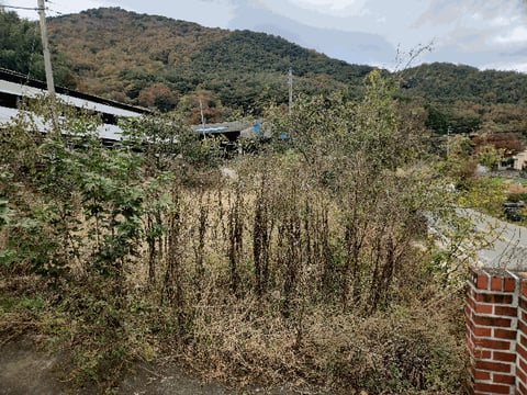 물건 사진 171