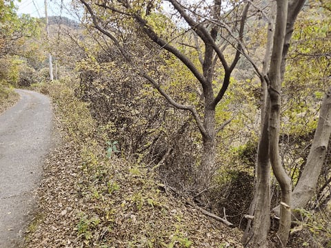 물건 사진 140