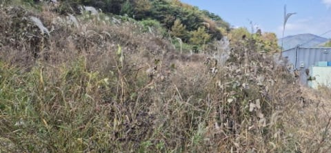 물건 사진 7
