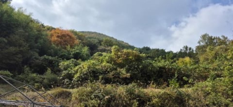 물건 사진 73
