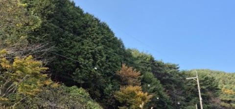 물건 사진 106