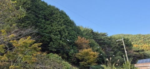 물건 사진 108