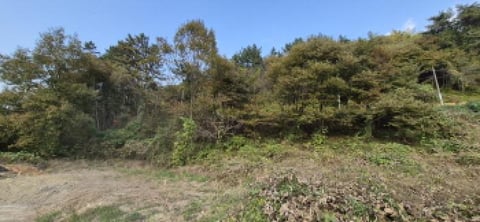 물건 사진 121