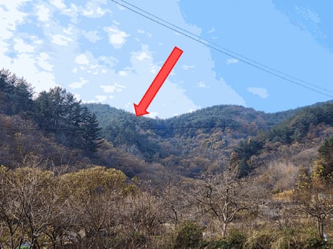 물건 사진 139