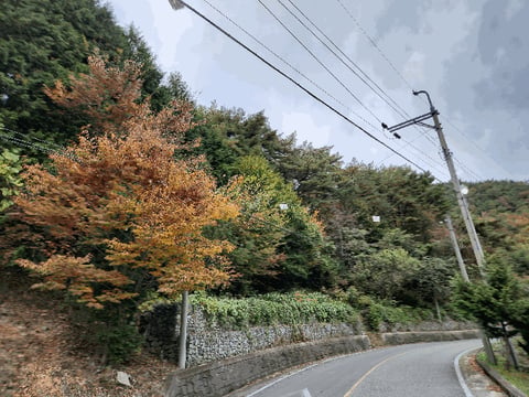 물건 사진 166