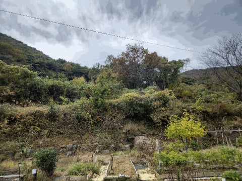 물건 사진 168