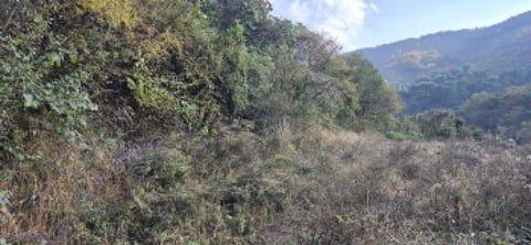 물건 사진 42