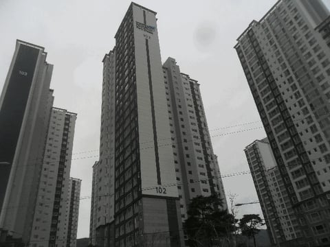 물건 사진 6