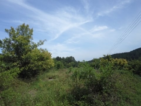 물건 사진 14