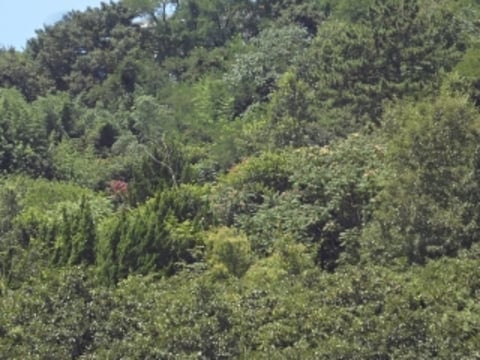 물건 사진 18
