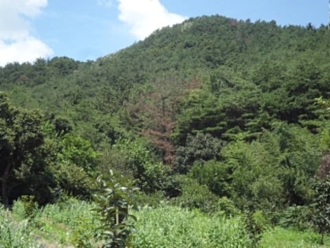 물건 사진 11