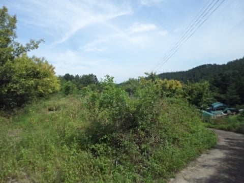 물건 사진 15