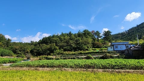 물건 사진 38