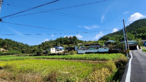 물건 사진 49