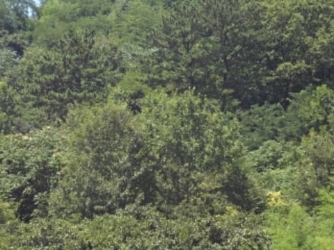 물건 사진 19