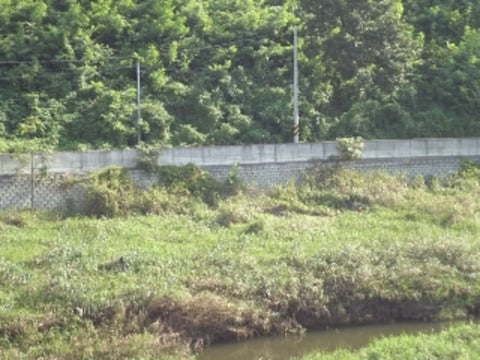 물건 사진 20