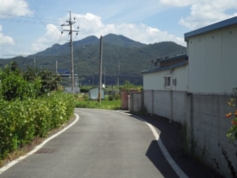 물건 사진 7