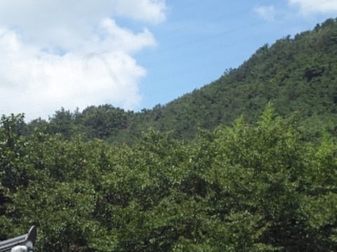 물건 사진 10