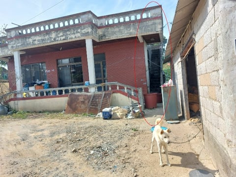 물건 사진 11