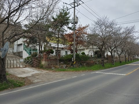 물건 사진 17