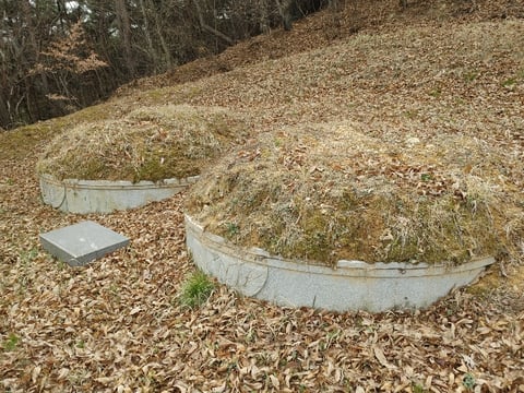 물건 사진 29
