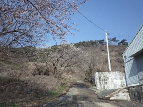 물건 사진 4