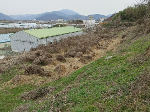 물건 사진 35