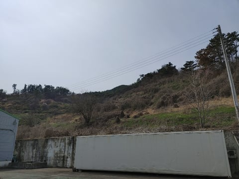 물건 사진 39