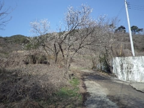 물건 사진 5