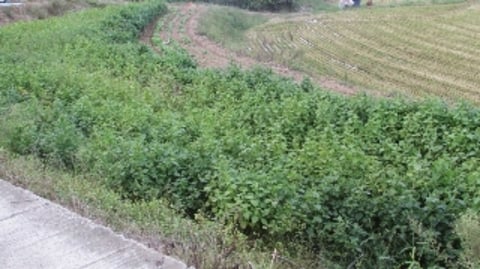 물건 사진 14