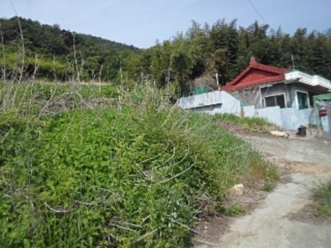 물건 사진 2