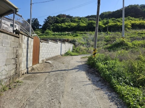 물건 사진 19