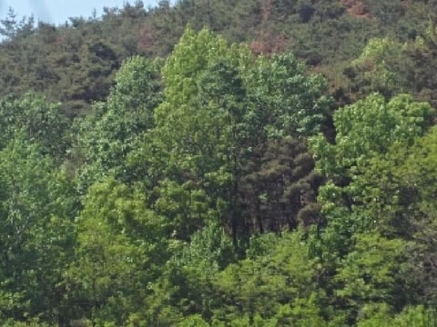물건 사진 3